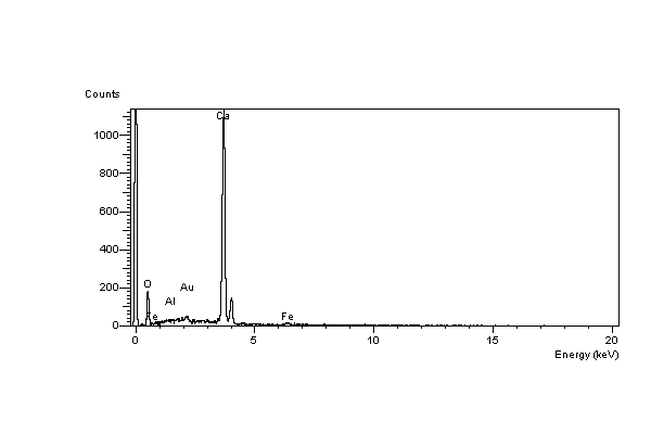 EDS spectrum