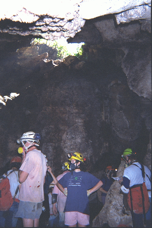 hard at work in the cave